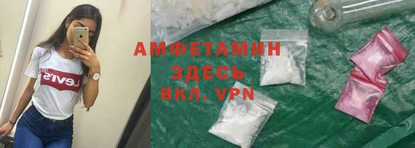 амф Алексин