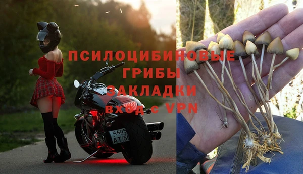 герыч Алзамай