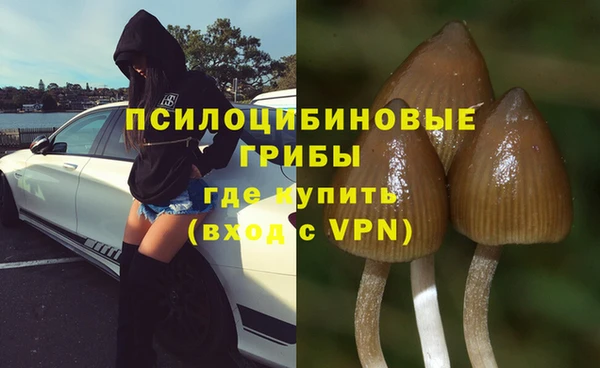 дмт Алексеевка
