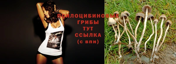 герыч Алзамай