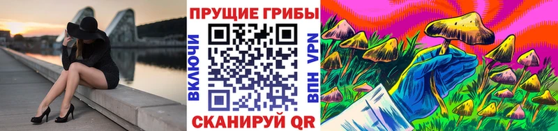 Галлюциногенные грибы GOLDEN TEACHER  Бирск 